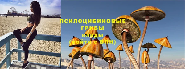 мяу мяу мука Беломорск