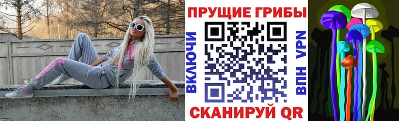 OMG как войти  Нижняя Тура  Псилоцибиновые грибы Cubensis 